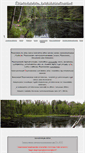 Mobile Screenshot of palsankoski.fi